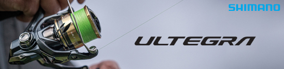 ULTEGRA_FE_Web_Banner_Lifestyle_Dealer_576x140.jpg