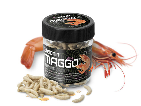 Mākslīgā ēsma baltais kāpurs Delphin MaggoX Pop Up / Garnele mākslīgie baltie tārpi