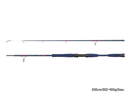 Jūras spinings Delphin FYORD BigBOAT 200cm / 300-400g