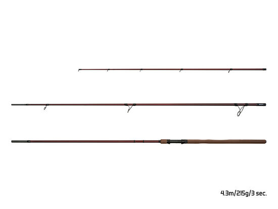 Fīderis Delphin MAGMA LEGEND4RY Method 430cm/215g