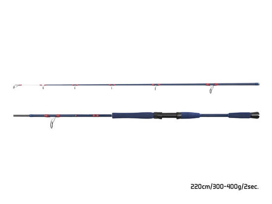 Jūras spinings Delphin FYORD BigBOAT 220cm / 300-400g