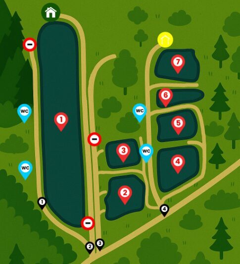 NGT Rudens Kauss BERGA dīķi komanda