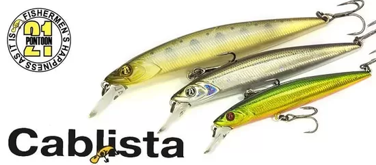 Vobleris Pontoon 21 Cablista 90F-SMR