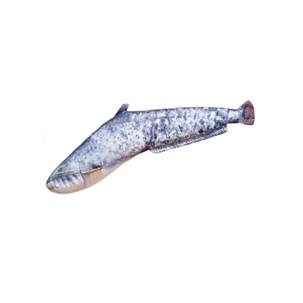 Spilvens Sams mazais 62cm / Catfish pillow small 62cm