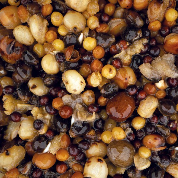 NASH-Small Seed Mix, Mazo sēklu un graudu maisījums - 500ml/2,5L