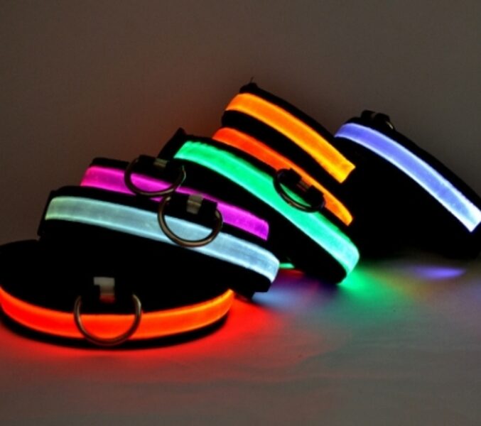 Suņu kakla siksnas ar LED, USB lādējamas - dažādi izmēri un krāsas 