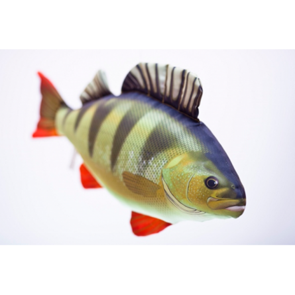 Spilvens asaris 50cm / perch pillow 50cm 