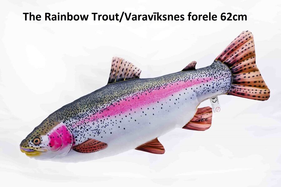 Spilvens varavīksnes forele 62cm / Rainbow Trout pillow 62cm 