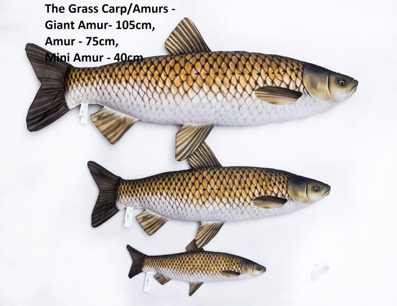 Spilvens amūrs liels 105cm / GrassCarp pillow big 105cm