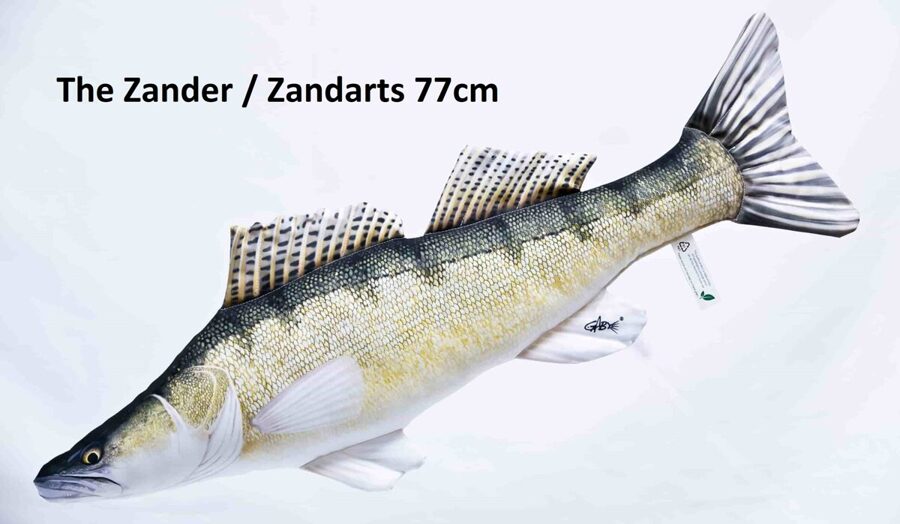 Spilvens Zandarts 77cm / Zander Pillow 77cm